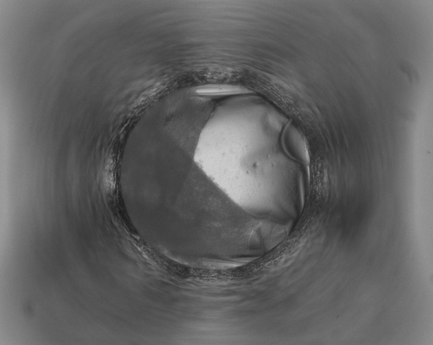 X0000112970962200909101649