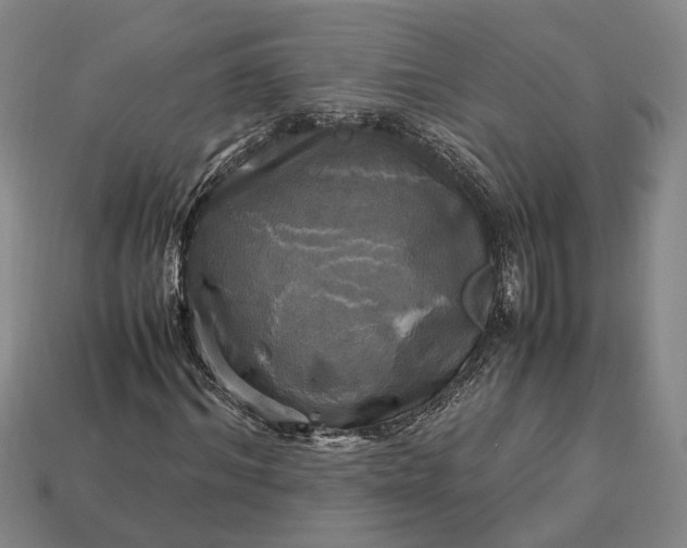 X0000112970964200909101649