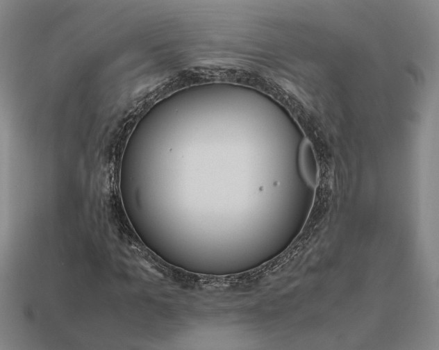 X0000112970965200909101649