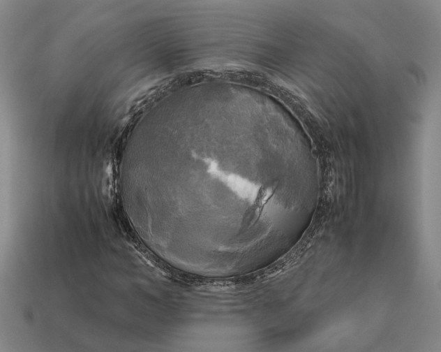 X0000112970966200909101649