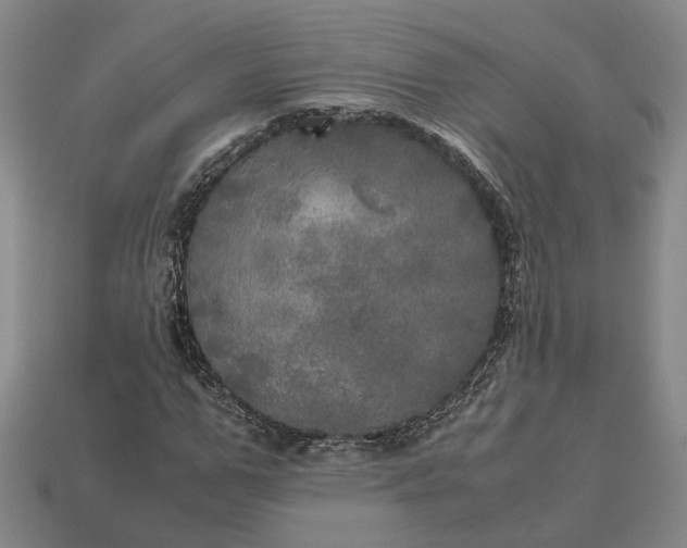 X0000112970967200909101649