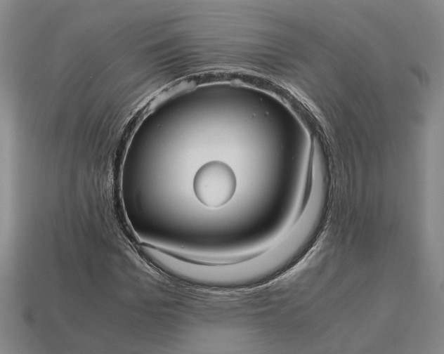 X0000112970969200909101649