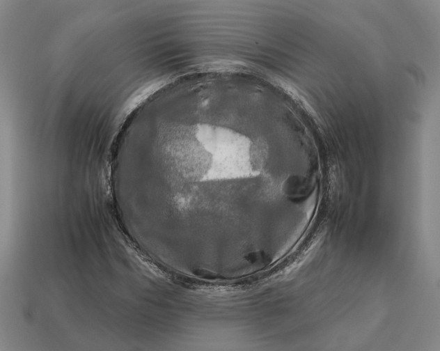 X0000112970970200909101649