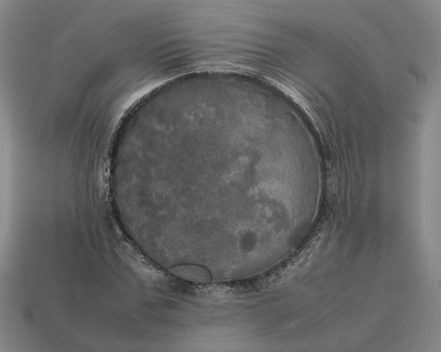 X0000112970971200909101649