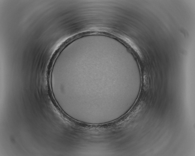 X0000112970972200909101649