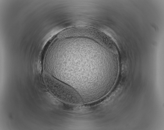 X0000112970973200909101649