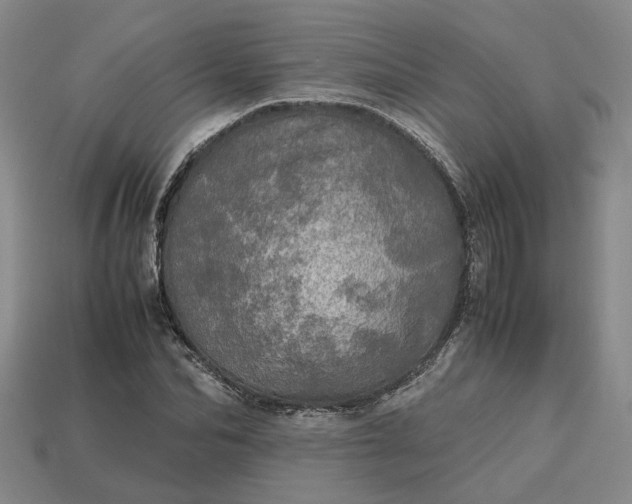 X0000112970974200909101649