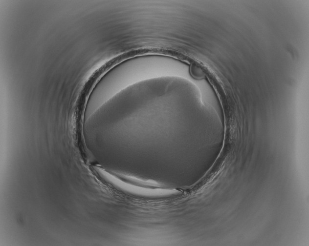 X0000112970975200909101649