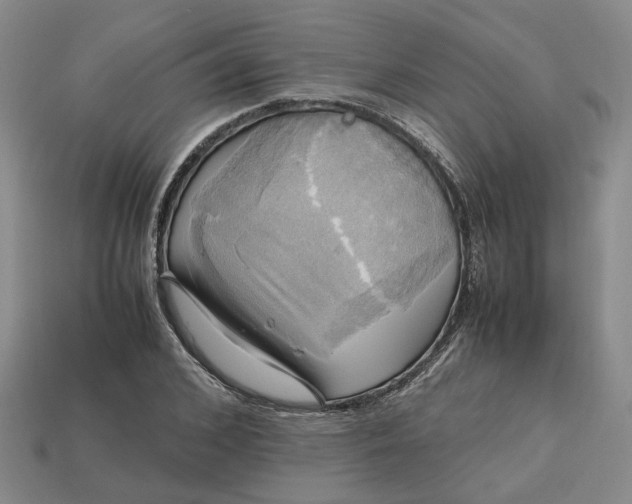 X0000112970976200909101649