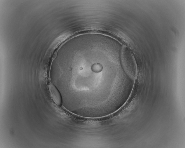 X0000112970977200909101649