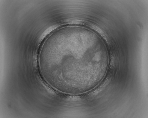 X0000112970978200909101649