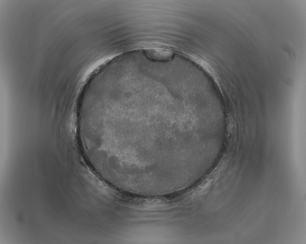 X0000112970979200909101649