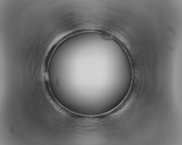 X0000112970981200909101649