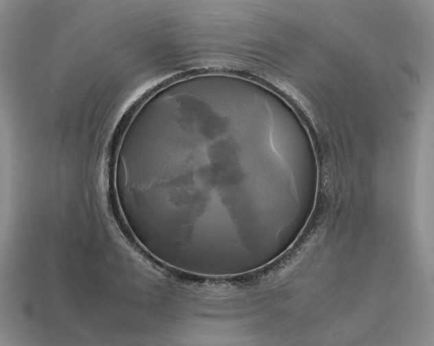 X0000112970983200909101649