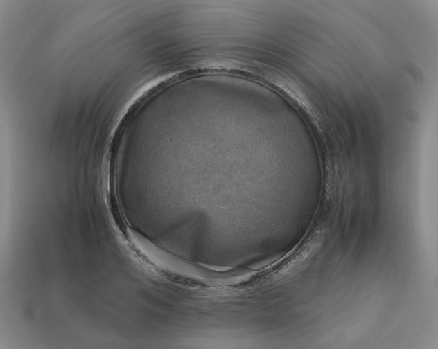 X0000112970984200909101649