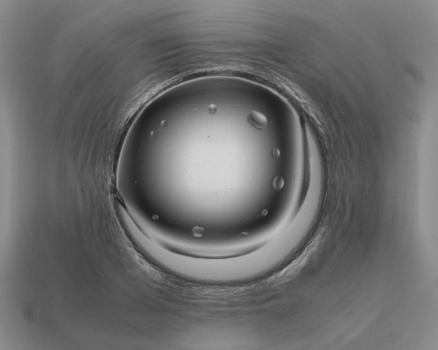 X0000112970985200909101649