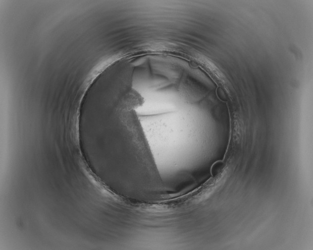 X0000112970986200909101649