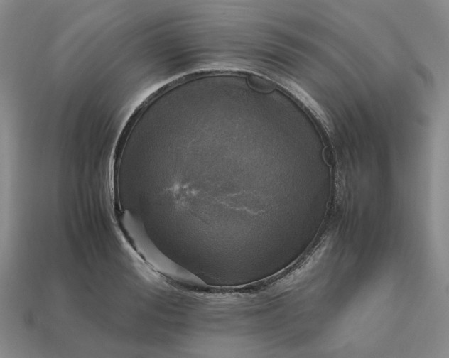 X0000112970988200909101649