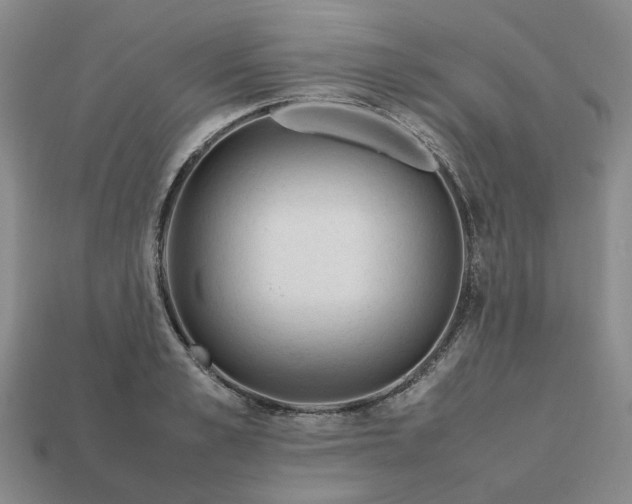 X0000112970989200909101649