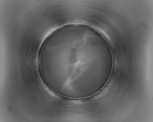 X0000112970990200909101649