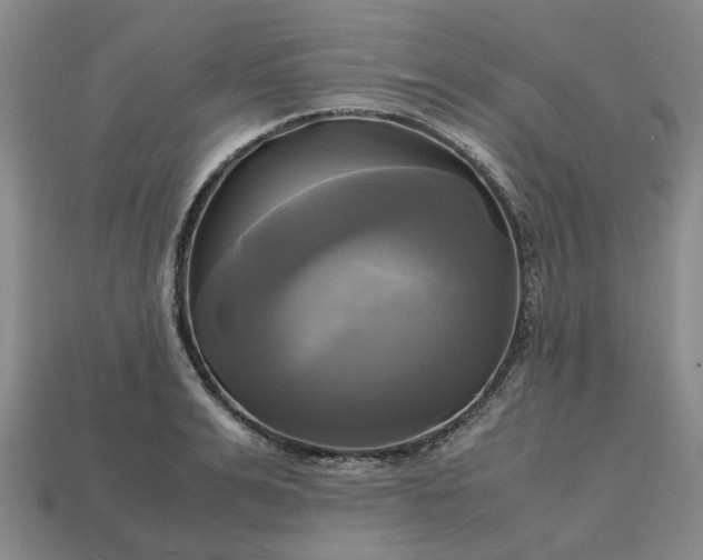 X0000112970991200909101649