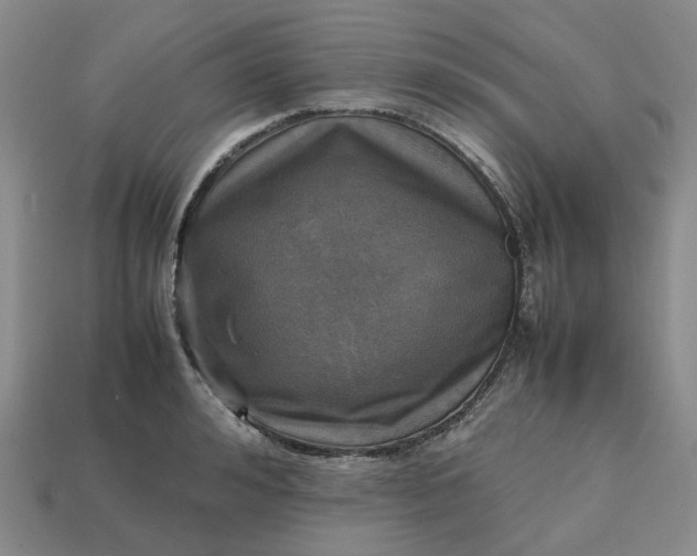 X0000112970992200909101649