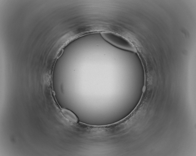 X0000112970993200909101649