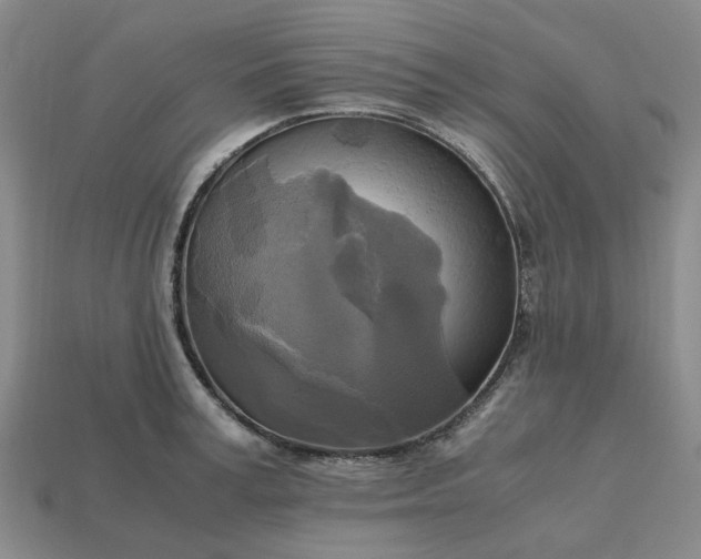 X0000112970995200909101649