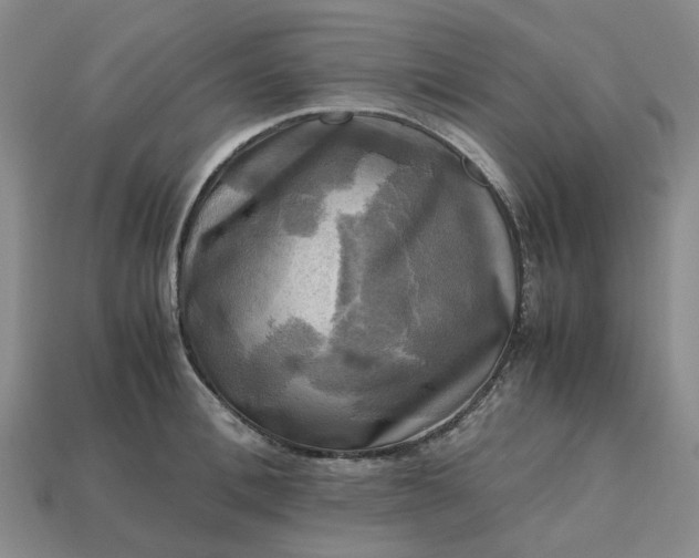 X0000112970996200909101649