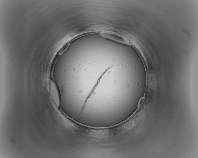 X0000112970997200909101649