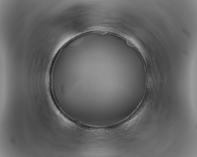 X0000112970999200909101649