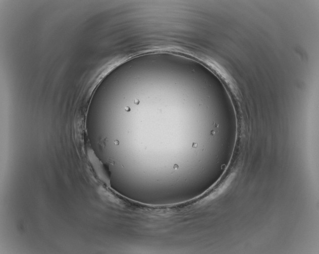 X0000112971001200909101649