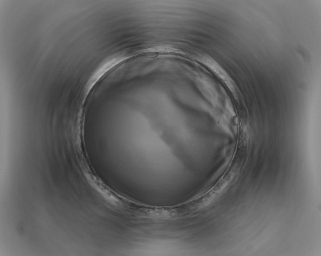 X0000112971002200909101649