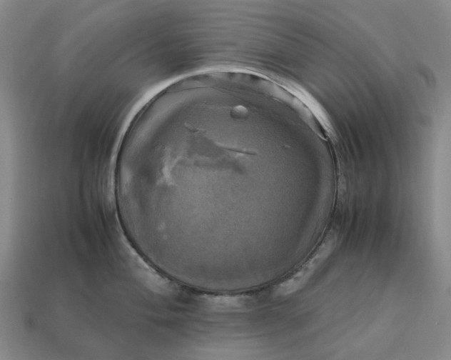 X0000112971004200909101649