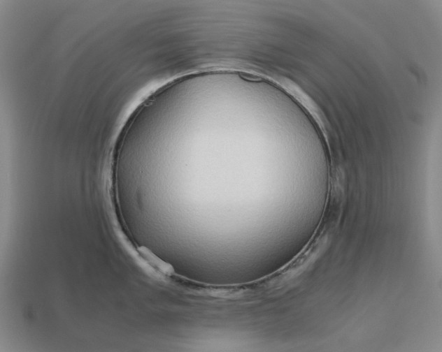 X0000112971005200909101649