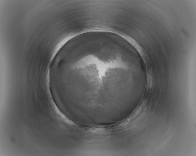 X0000112971006200909101649