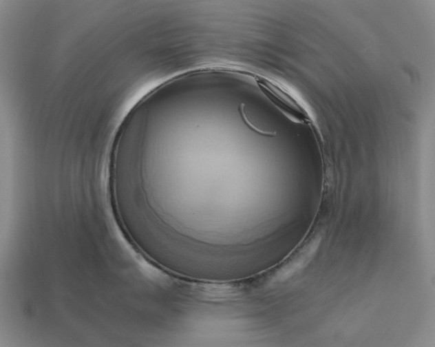 X0000112971007200909101649