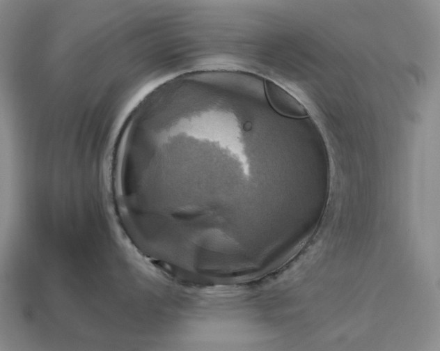 X0000112971008200909101649