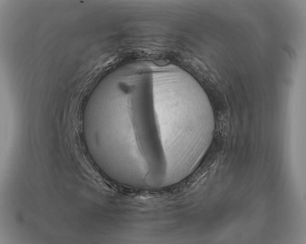 X0000112971009200909101648