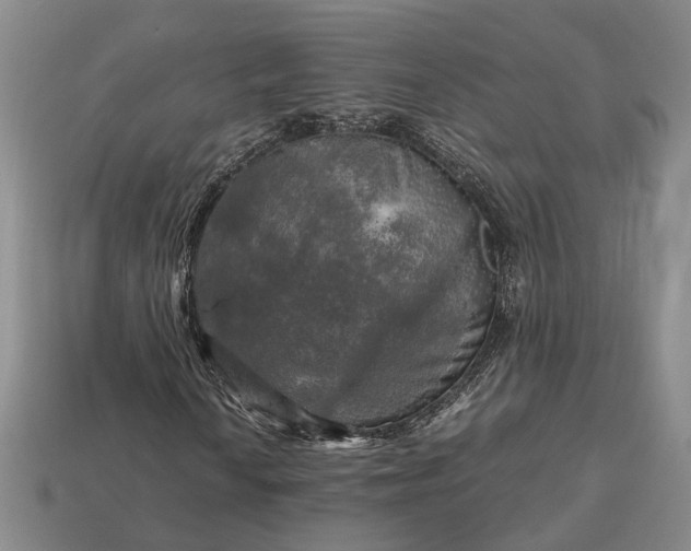 X0000112971010200909101648