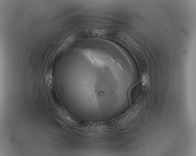 X0000112971011200909101648