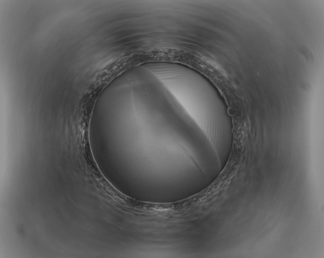 X0000112971013200909101648