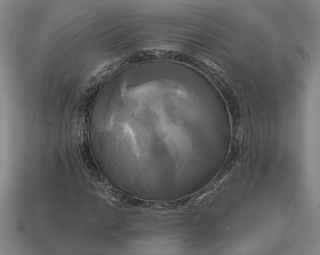 X0000112971014200909101648