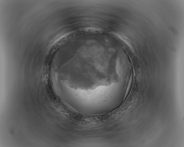 X0000112971015200909101648