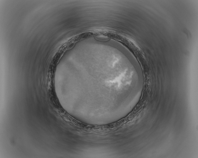 X0000112971016200909101648