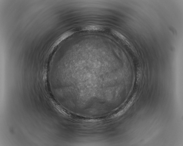 X0000112971017200909101648