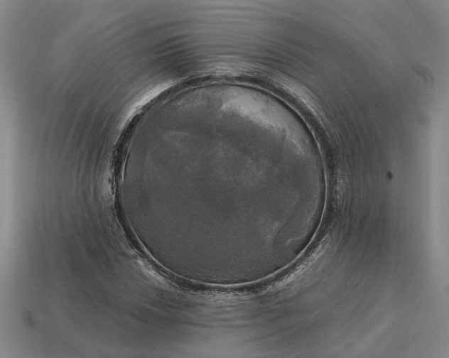 X0000112971018200909101648