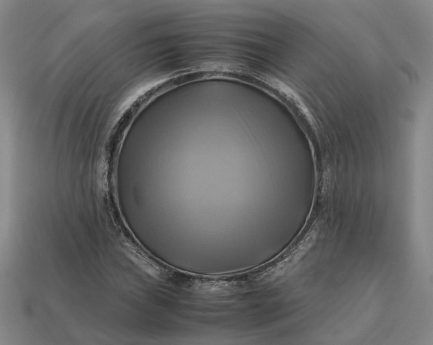 X0000112971019200909101648