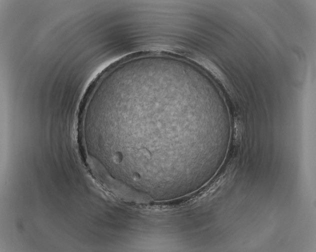 X0000112971020200909101648