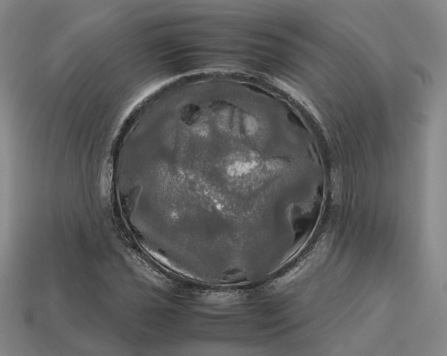 X0000112971021200909101648